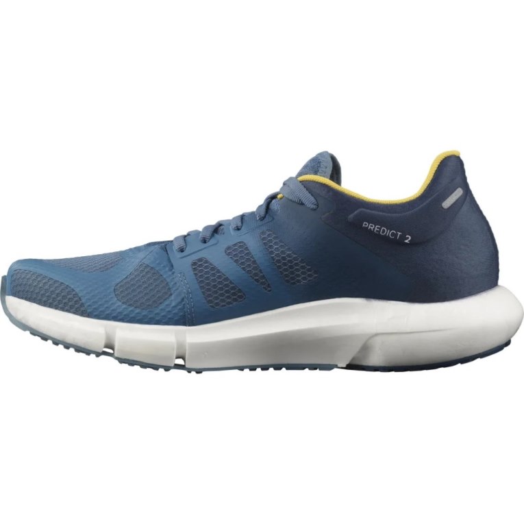 Blue Salomon Predict 2 Men's Running Shoes | IE UR9271